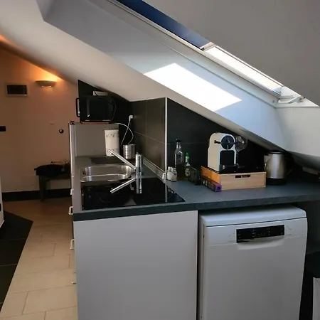 Metrofermi Mansarda Apartament *
